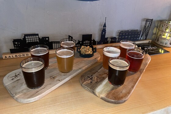 Hjort Beer - ølsmagning i Aalborg